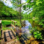 IMG-f2eb618722f277dc83f08c23e4e83931-V